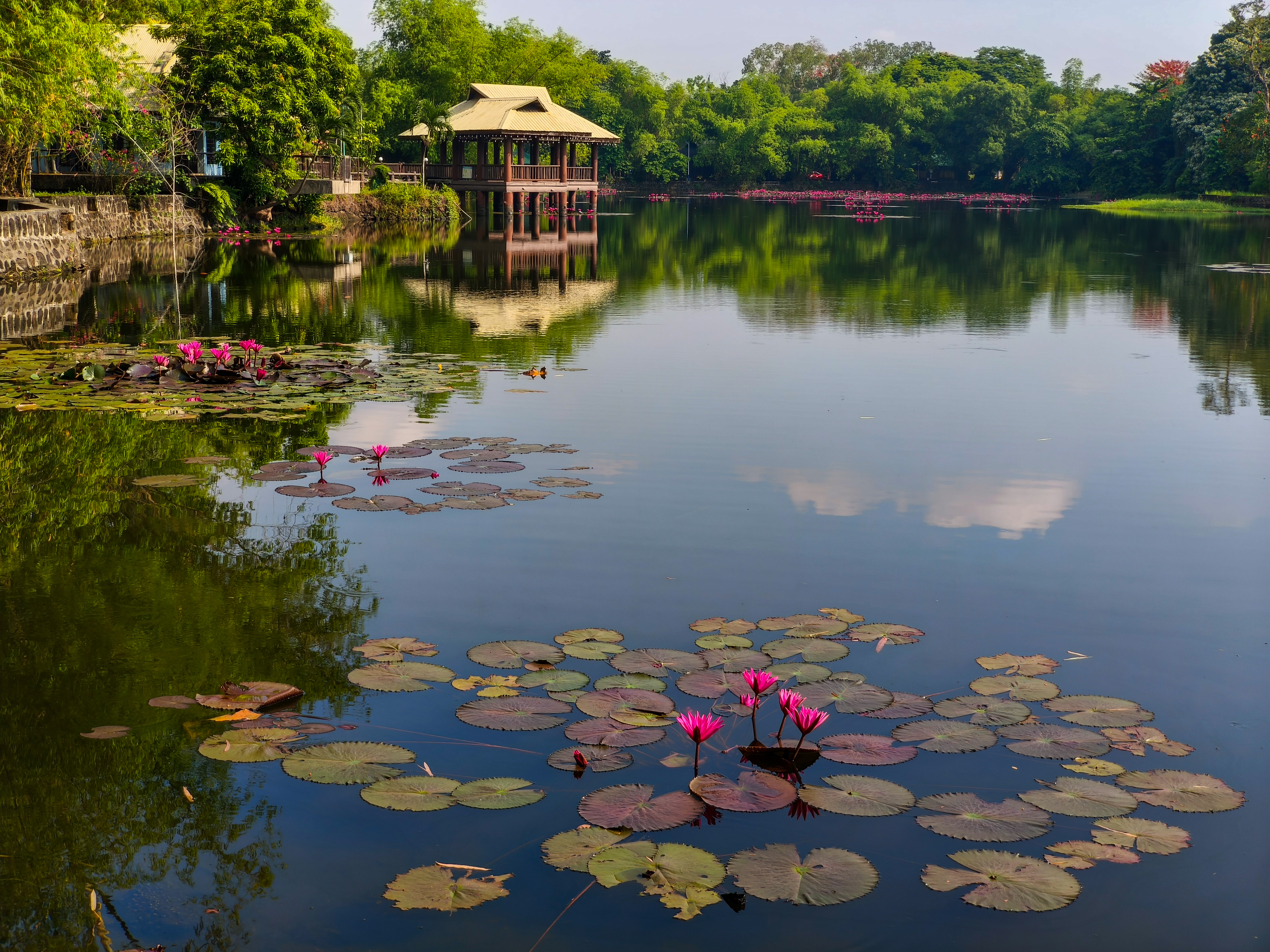 Photo of Ninoy Aquino Parks and Wildlife Center